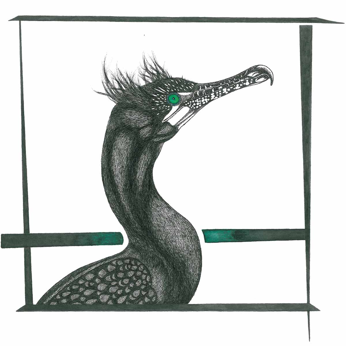 CORMORANT