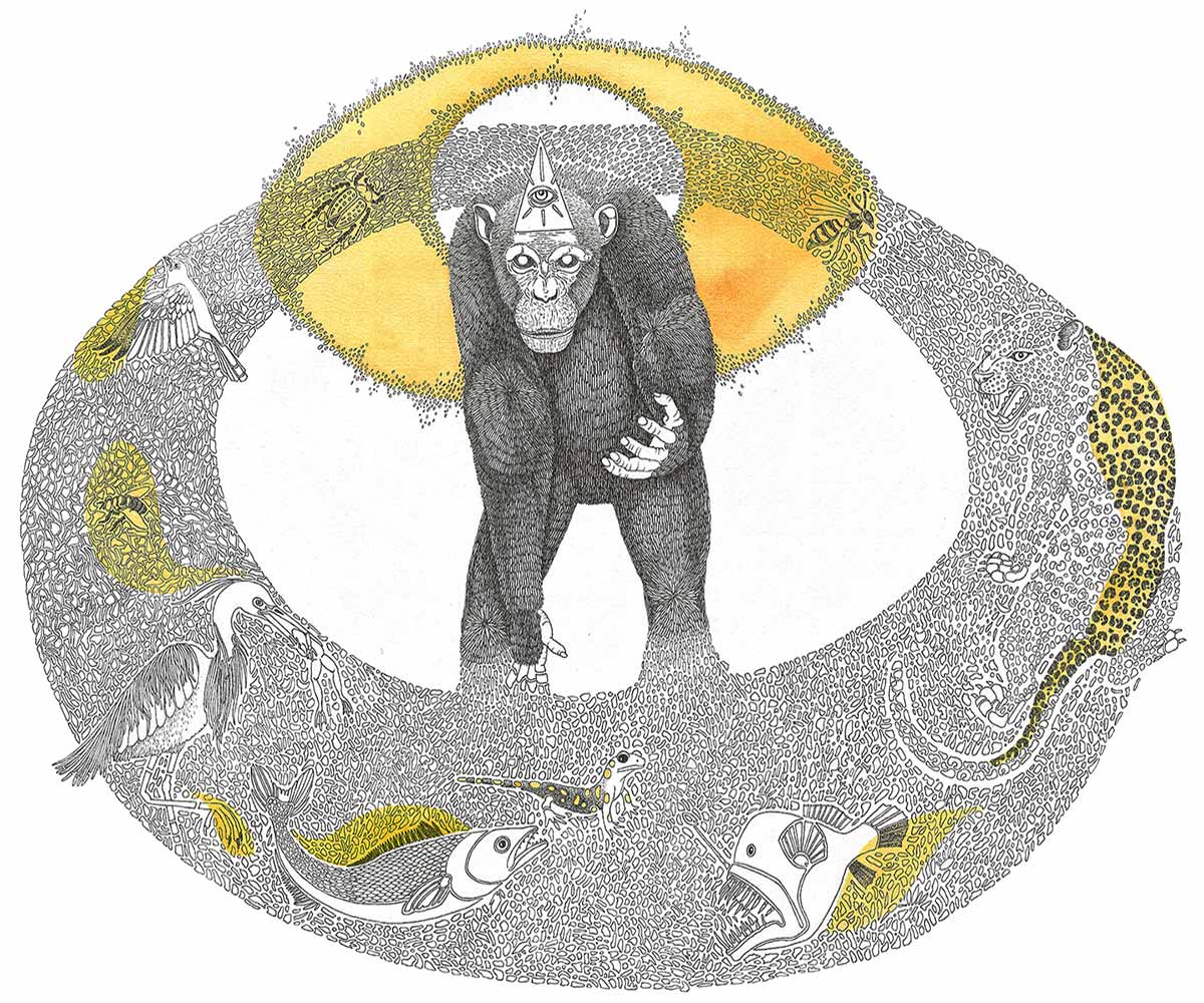 CHIMP GOD