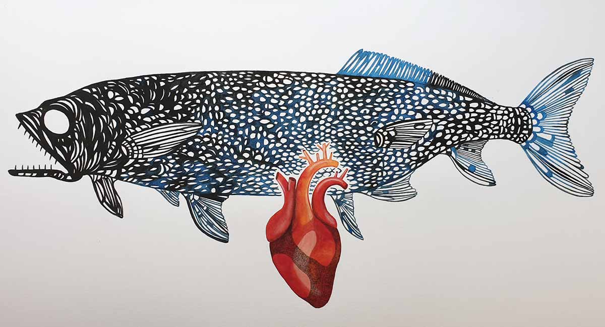 FISH